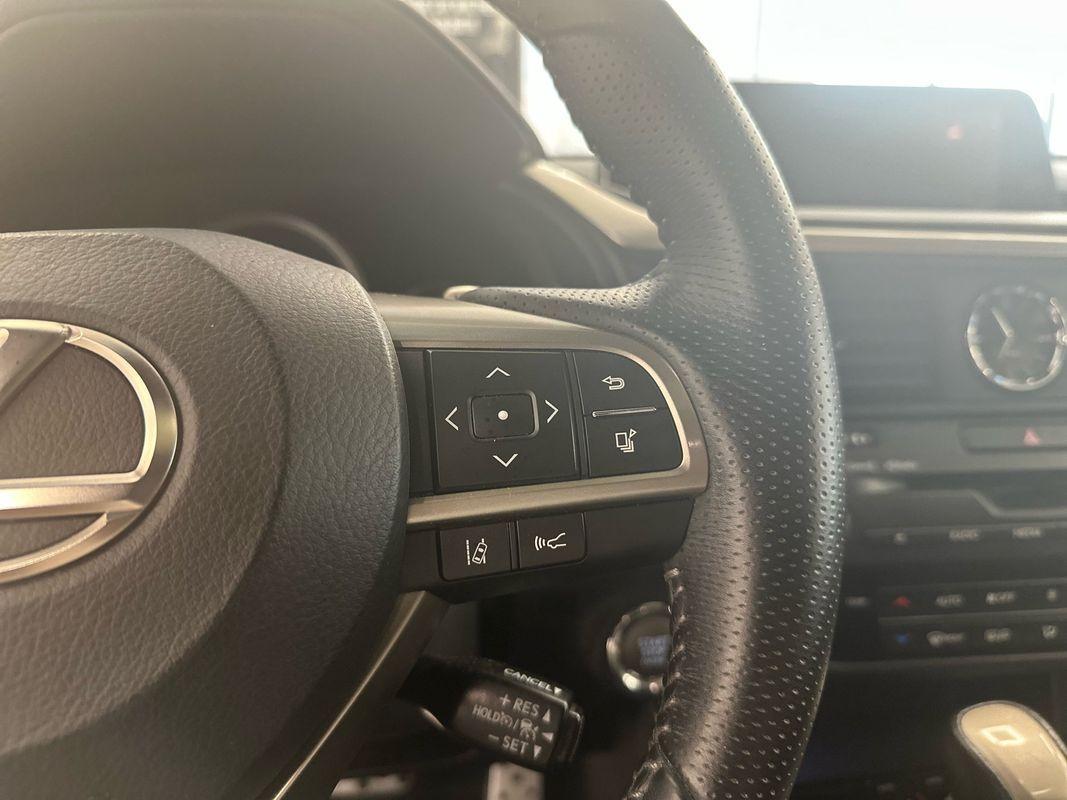 2017 Lexus RX 350 photo 19