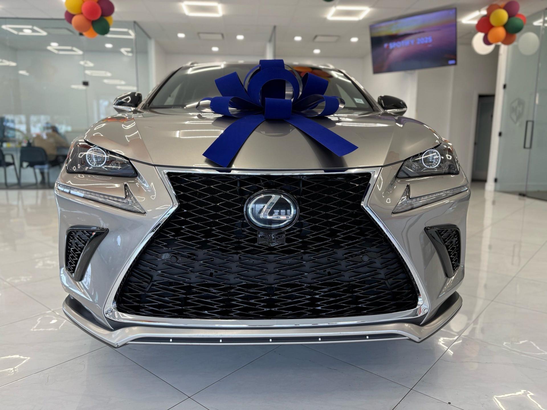 2018 Lexus NX 300 F SPORT photo 2