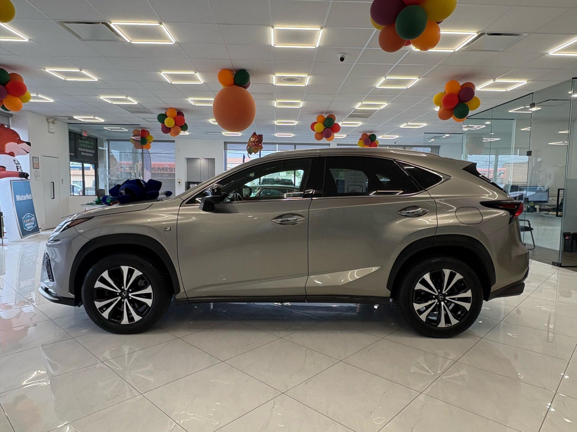 2018 Lexus NX 300 F SPORT photo 4