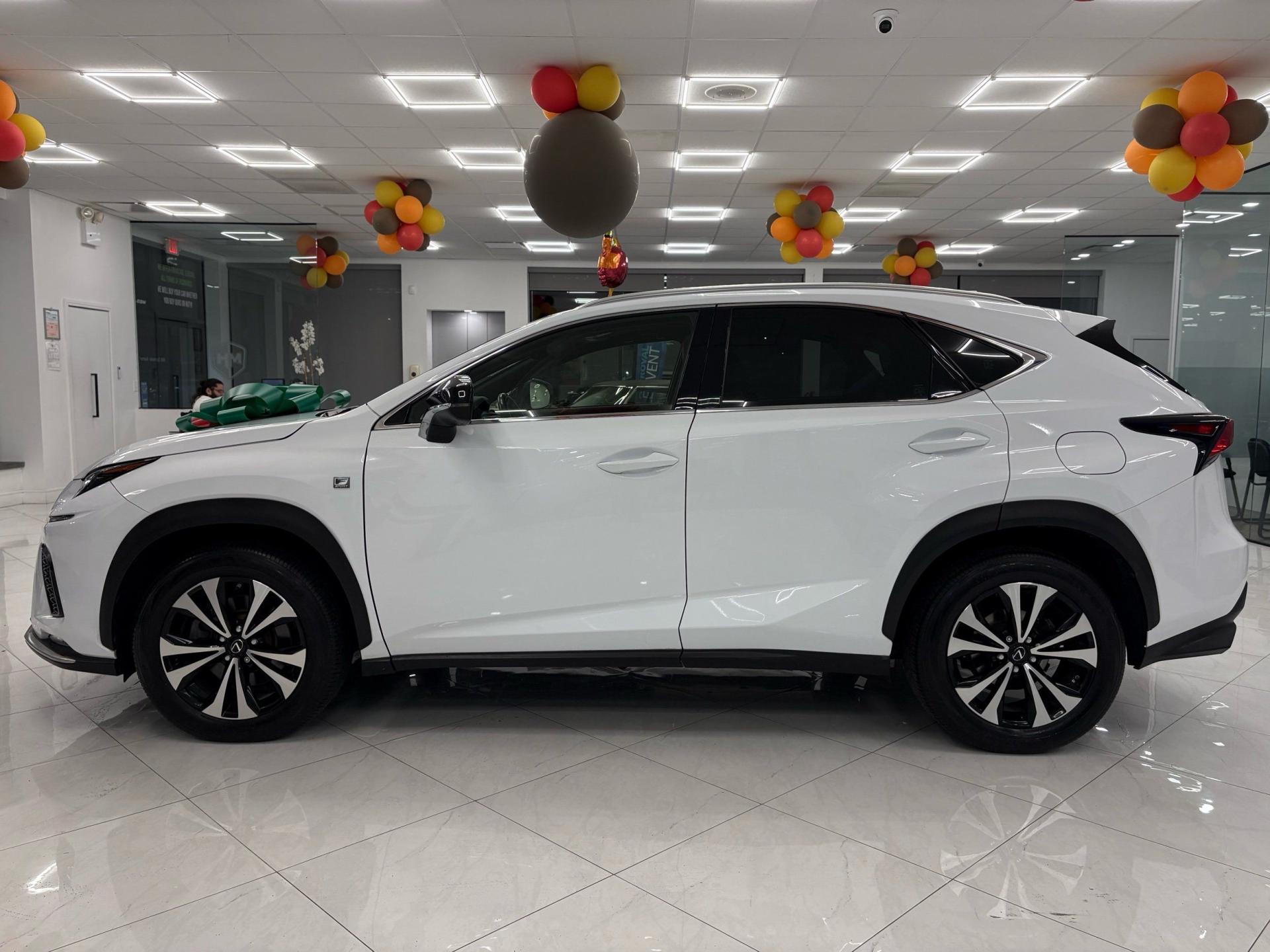 2018 Lexus NX 300 F SPORT photo 4